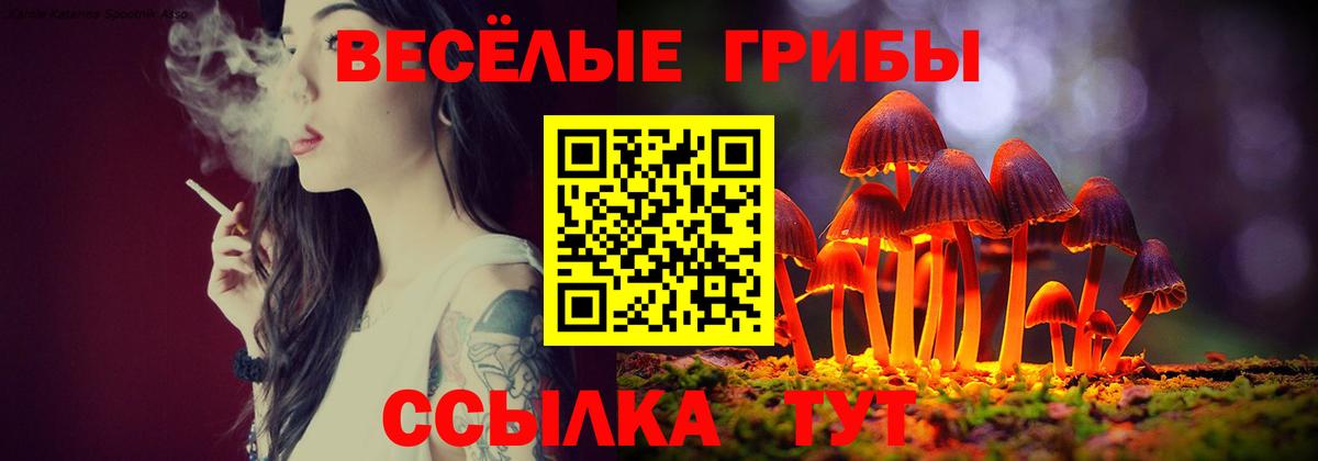 Галлюциногенные грибы GOLDEN TEACHER  Вход с VPN  Борзя 
